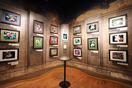 Performing Arts Theater «Theatre in the Round Players Inc», reviews and photos, 245 Cedar Ave S, Minneapolis, MN 55454, USA