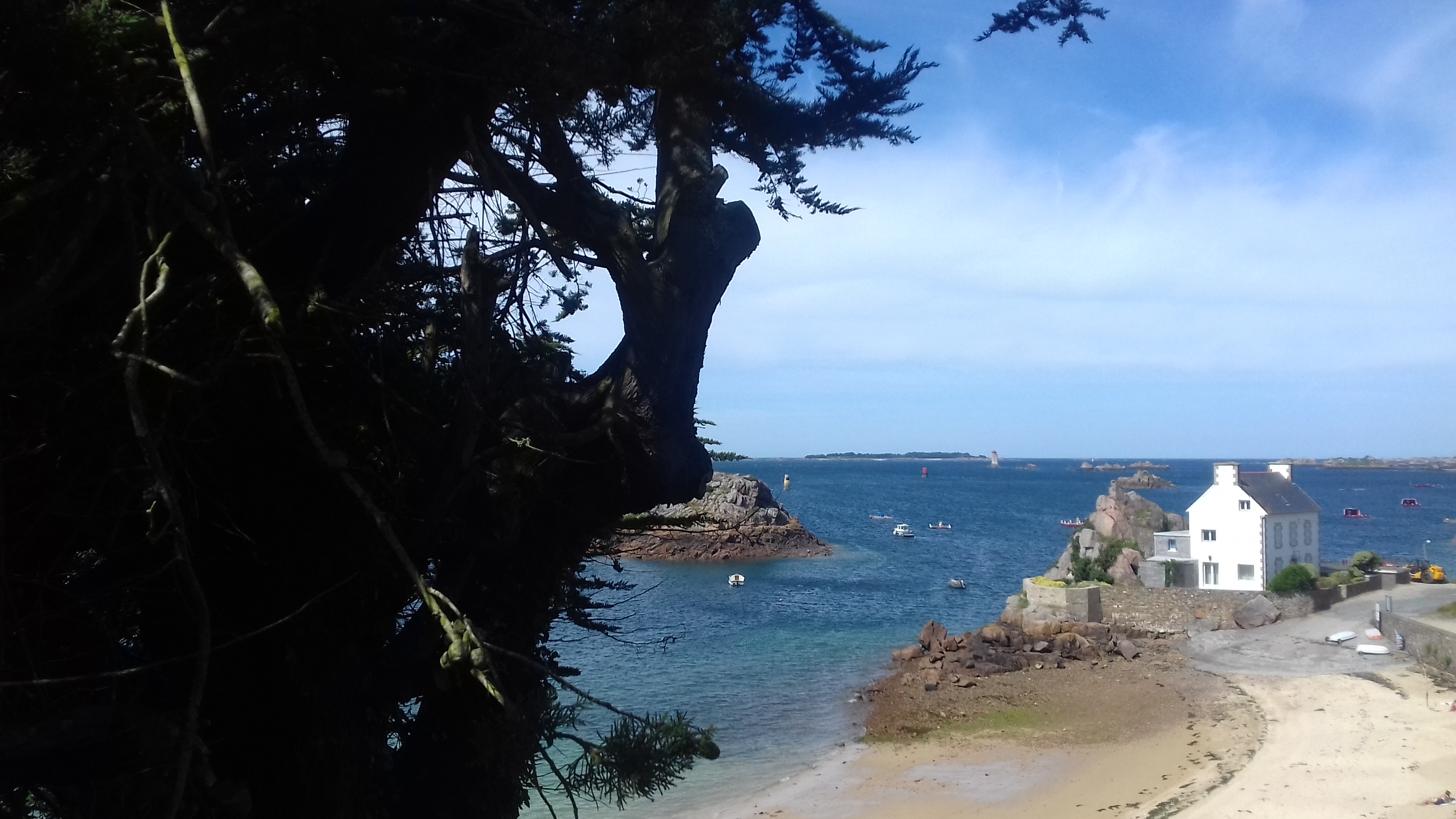Photo n° 4 de l'avis de henri.u fait le 23/06/2018 à 18:40
