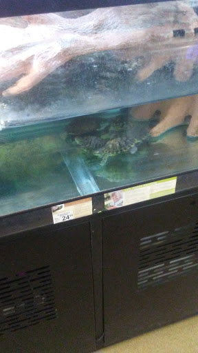 Pet Supply Store «Petco Animal Supplies», reviews and photos, 2621 MacArthur Rd, Whitehall, PA 18052, USA