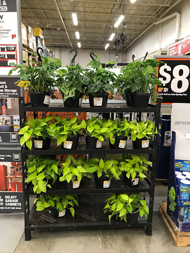 Home Improvement Store «The Home Depot», reviews and photos, 252 N Custer Rd, McKinney, TX 75071, USA