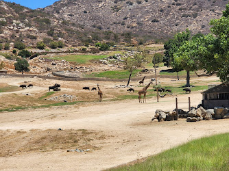 San Diego Safari Park