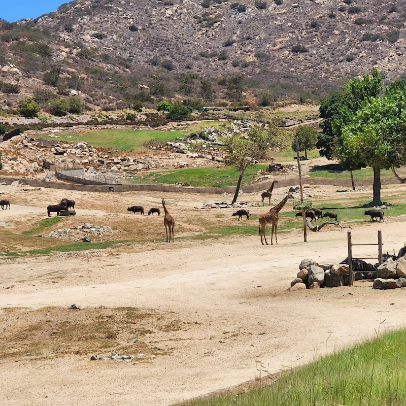 San Diego Safari Park