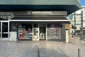 Spazio Animal - Almada image