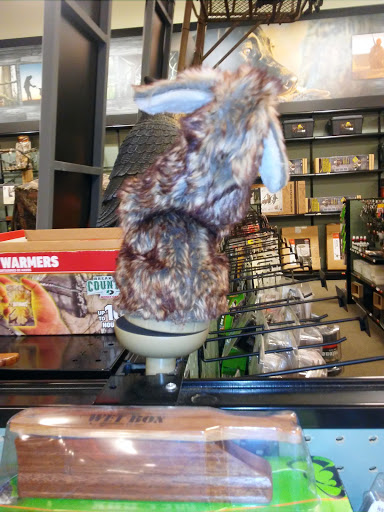 Outdoor Sports Store «Field & Stream», reviews and photos, 5215 Century Ave, Kalamazoo, MI 49006, USA