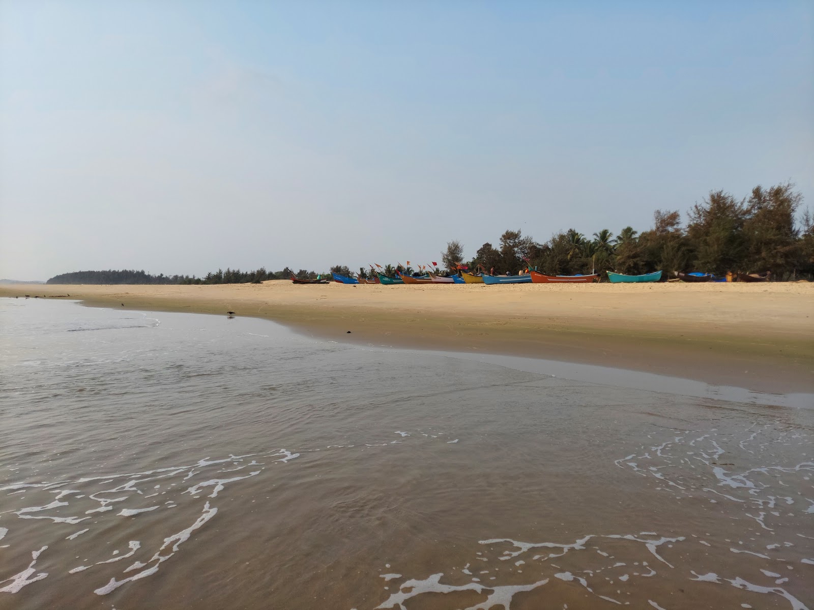 Dhareshwar beach'in fotoğrafı doğal alan içinde bulunmaktadır