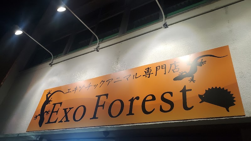Exo Forest