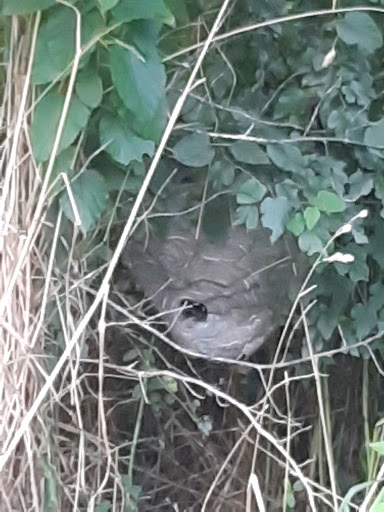 Park «Fort Reno Park», reviews and photos, Donaldson Pl NW, Washington, DC 20016, USA