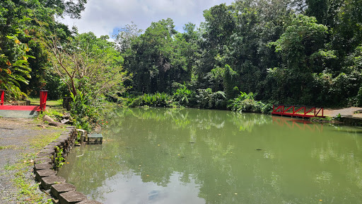 Jardín Botánico de la UPR