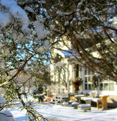 Gift Shop «Squire House Gardens», reviews and photos, 3390 St Croix Trail S, Afton, MN 55001, USA