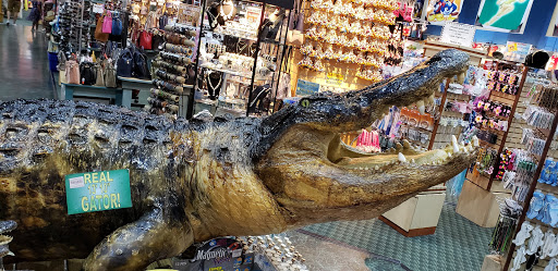Gift Shop «Bargain World», reviews and photos, 12236 S Apopka Vineland # 200, Orlando, FL 32836, USA