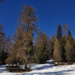 Photo n°3 de l'avis de Alessandro.a fait le 21/02/2019 à 15:17 sur le  Malga Stabli - Ristorante Bar à Mezzana