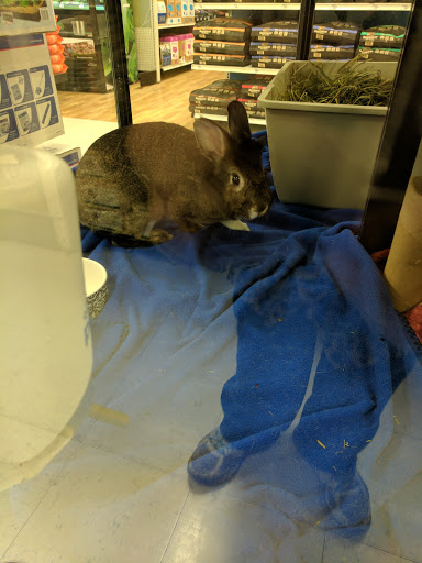 Pet Supply Store «Petco Animal Supplies», reviews and photos, 2277 Ford Pkwy, St Paul, MN 55116, USA