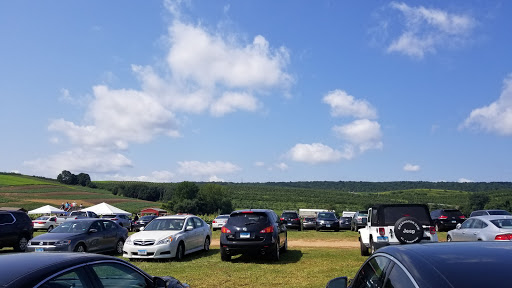Tourist Attraction «Sunflower Maze», reviews and photos, South St, Middlefield, CT 06455, USA