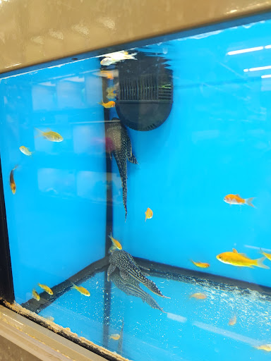 Pet Supply Store «Pet Supplies Plus», reviews and photos, 1937 FL-60, Valrico, FL 33594, USA