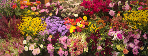 Florist «Z Florist», reviews and photos, 804 Mt Royal Blvd, Pittsburgh, PA 15223, USA