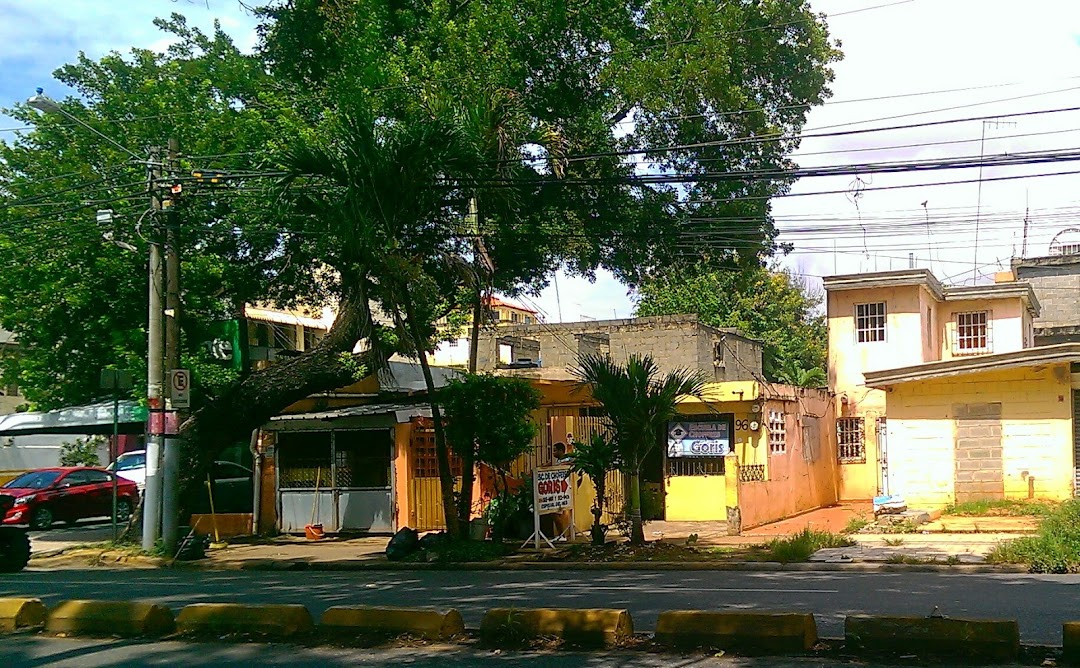 Escuela de choferes GORIS