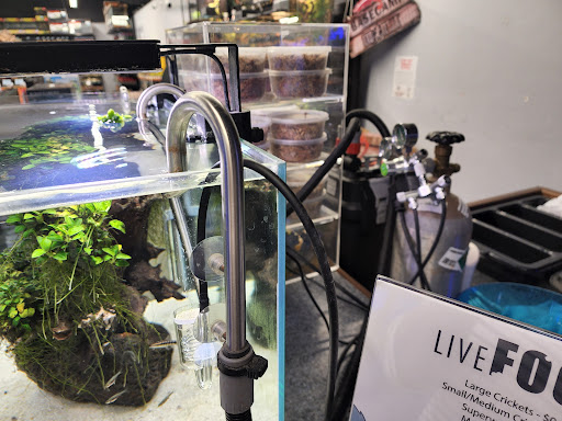 Pet Store «Bluewater Zoo Exotic Aquariums & Reptiles», reviews and photos, 159 Miracle Strip Pkwy SE, Fort Walton Beach, FL 32548, USA