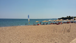 Turtle beach'in fotoğrafı dağlarla çevrili