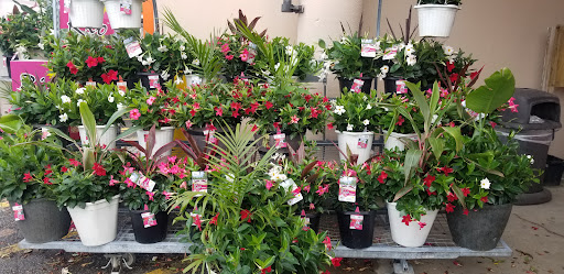 Home Improvement Store «The Home Depot», reviews and photos, 2480 Brice Rd, Reynoldsburg, OH 43068, USA