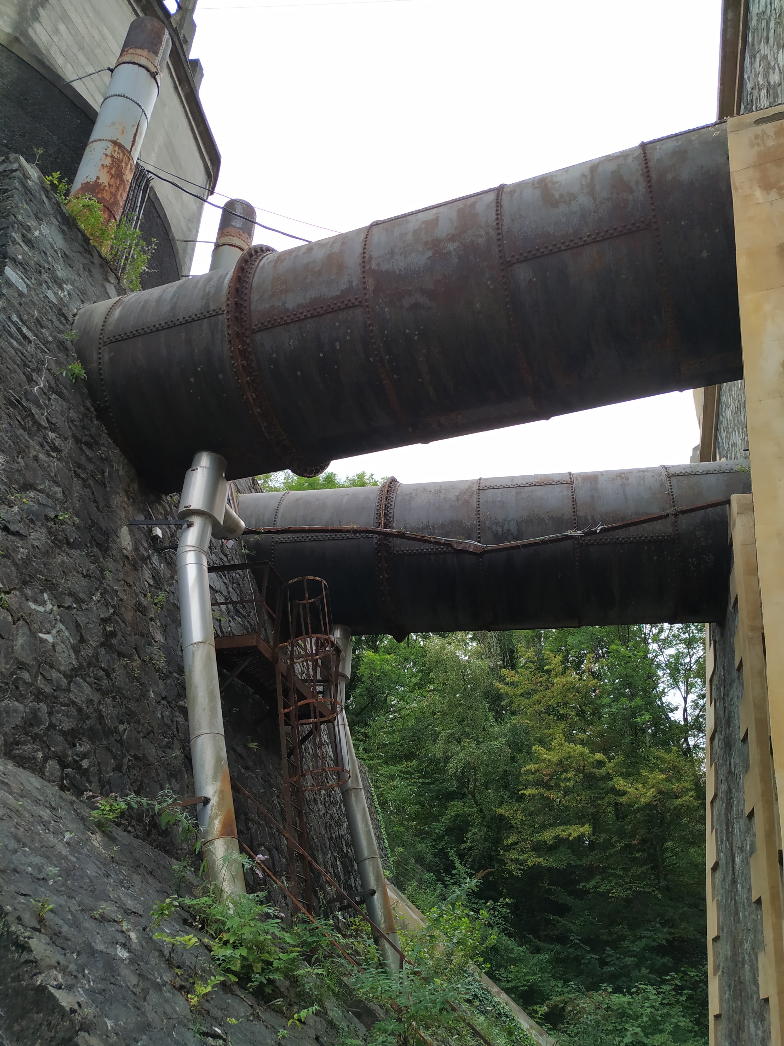 Photo n° 7 de l'avis de Rene.e fait le 12/08/2020 à 15:51