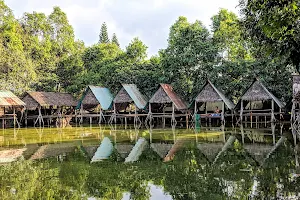Hồ Câu Cá Đồng Quê image