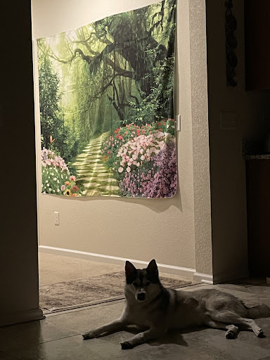 Water Damage Restoration Service «Abbotts Fire and Flood Restoration», reviews and photos