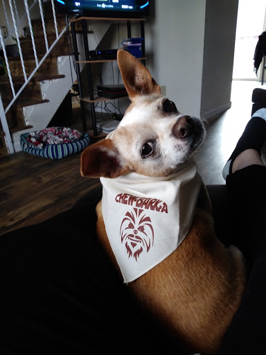 Pet Supply Store «Pet Supermarket, Inc.», reviews and photos, 598 N McCarran Blvd, Sparks, NV 89431, USA