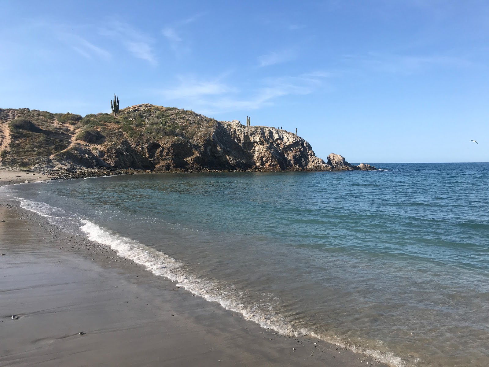 Foto de Playa Santa Rosa con agua cristalina superficie