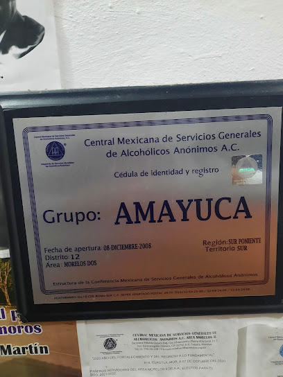 Grupo AA Amayuca.