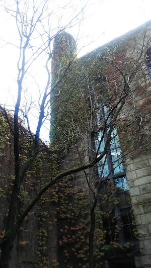 Allegheny County Courthouse - photo 35