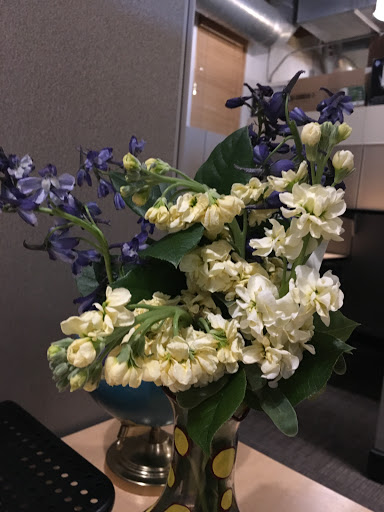 Florist «Flower Patch», reviews and photos, 4370 300 W, Salt Lake City, UT 84107, USA