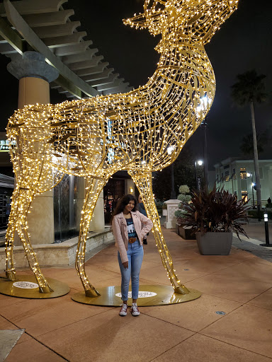 Computer Store «Apple St. Johns Town Center», reviews and photos, 4835 River City Dr, Jacksonville, FL 32246, USA