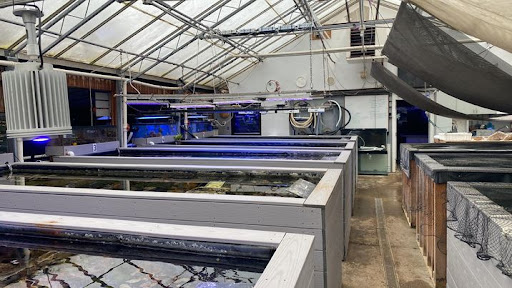 Aquarium «Reef Systems Coral Farm Inc», reviews and photos, 8459 Peter Hoover Rd, New Albany, OH 43054, USA