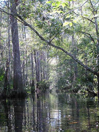 Canoe & Kayak Tour Agency «Altamaha Coastal Tours», reviews and photos, 229 Fort King George Dr, Darien, GA 31305, USA