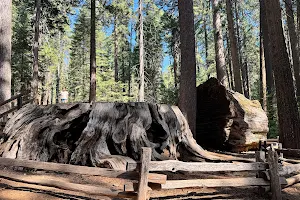 Visitor Center | Calaveras Big Trees image