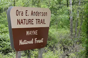 Ora E. Anderson Nature Trail image