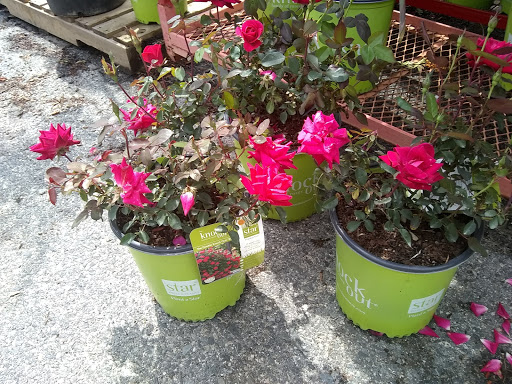 Home Improvement Store «The Home Depot», reviews and photos, 535 Grand Army of the Republic Hwy, Somerset, MA 02725, USA