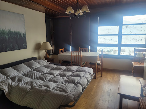 Inmobiliaria Canal Roya Formigal en Formigal