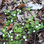 Photo n°3 de l'avis de Konrad.h fait le 16/02/2024 à 15:23 sur le  Landgasthof Meixmühle à Dresden