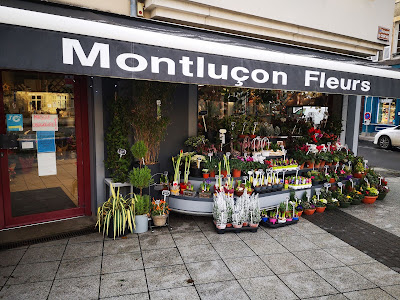 Montluçon Fleurs à Montluçon