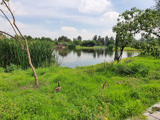 Lago parque ecológico