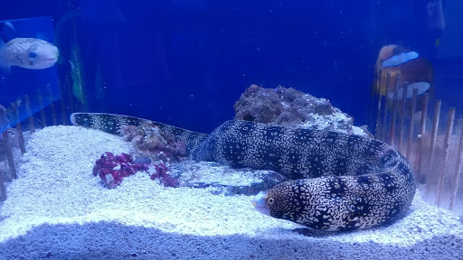 Aquarium «Aquatica», reviews and photos, 800 Clanton Rd H, Charlotte, NC 28117, USA