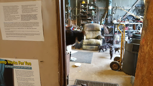 Plumber «Roto-Rooter», reviews and photos, 1003 Cranleigh Ave, DeLand, FL 32720, USA