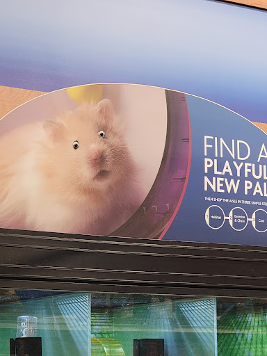 Pet Supply Store «PetSmart», reviews and photos, 700 Lafayette Rd #211, Seabrook, NH 03874, USA