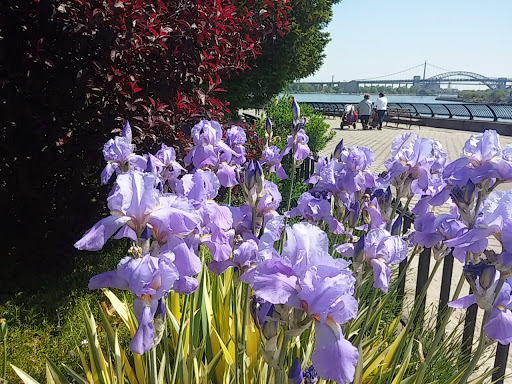 Park «Carl Schurz Park», reviews and photos, East 86th Street & East End Ave, New York, NY 10028, USA