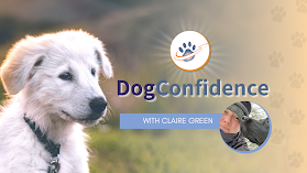 DogConfidence