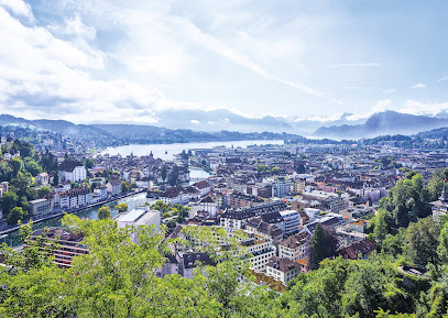 Wirtschaftsverband Stadt Luzern