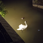 Photo n°6 de l'avis de Daniela.r fait le 02/01/2023 à 09:59 sur le  Il Lago Eventi à Montaione