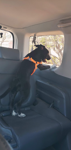 Pet Supply Store «Petco Animal Supplies», reviews and photos, 5994 Montana Ave, El Paso, TX 79925, USA