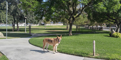 Phillips Ranch Park